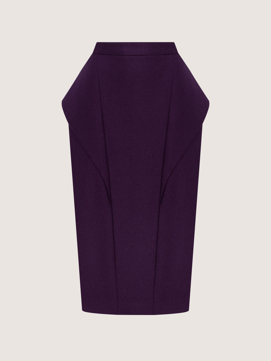 Skirt with wing detail